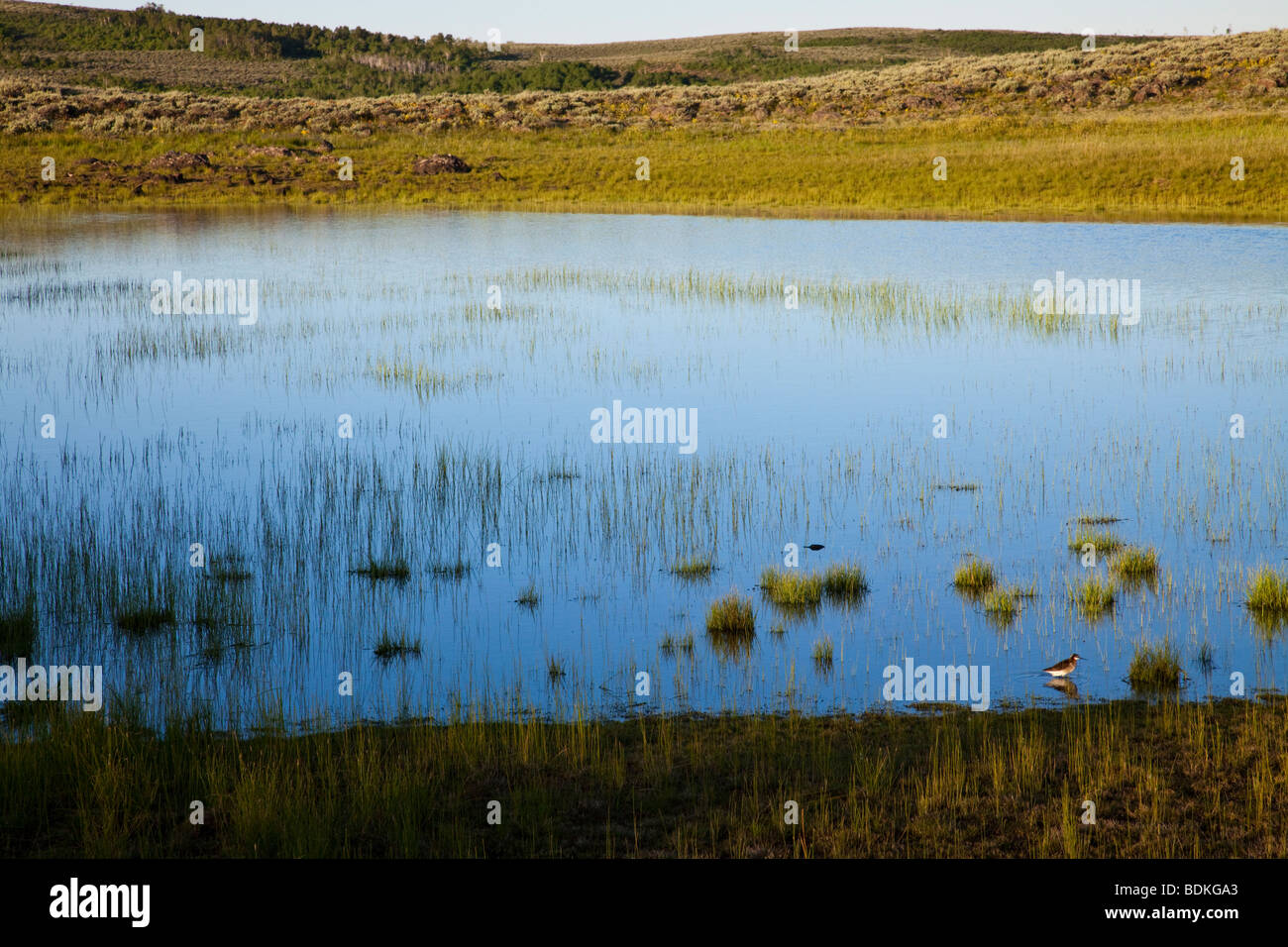 Pond on mountain hi-res stock photography and images - Alamy