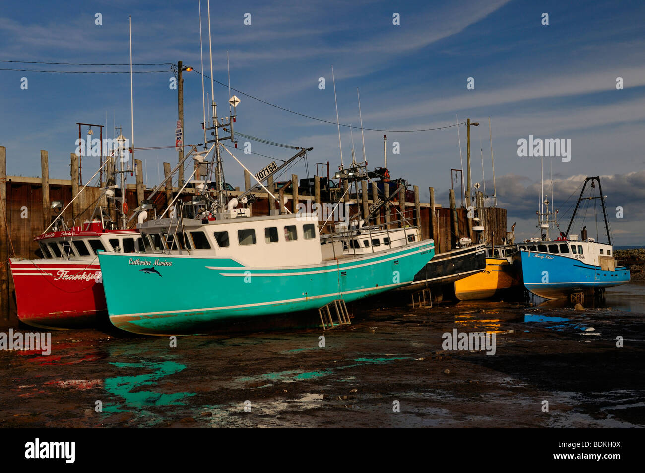 Colorful boats on the Bay of Fundy ocean floor at