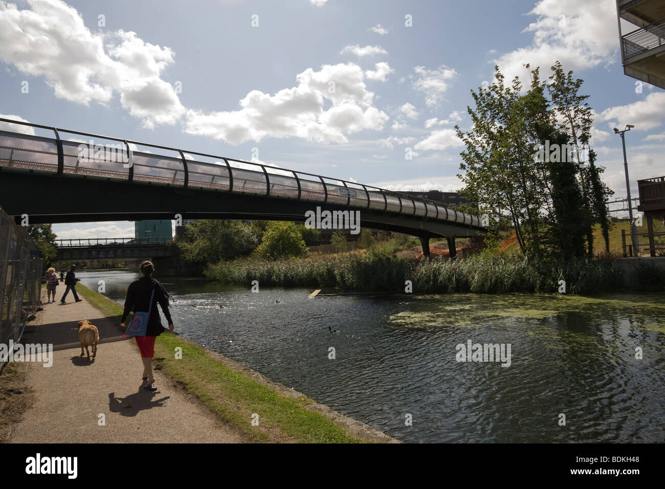 New Meath Bridge over Regents Canal 'Mile End Park' ' London Borough of Tower Hamlets' Tower Hamlets London GB UK green space Stock Photo