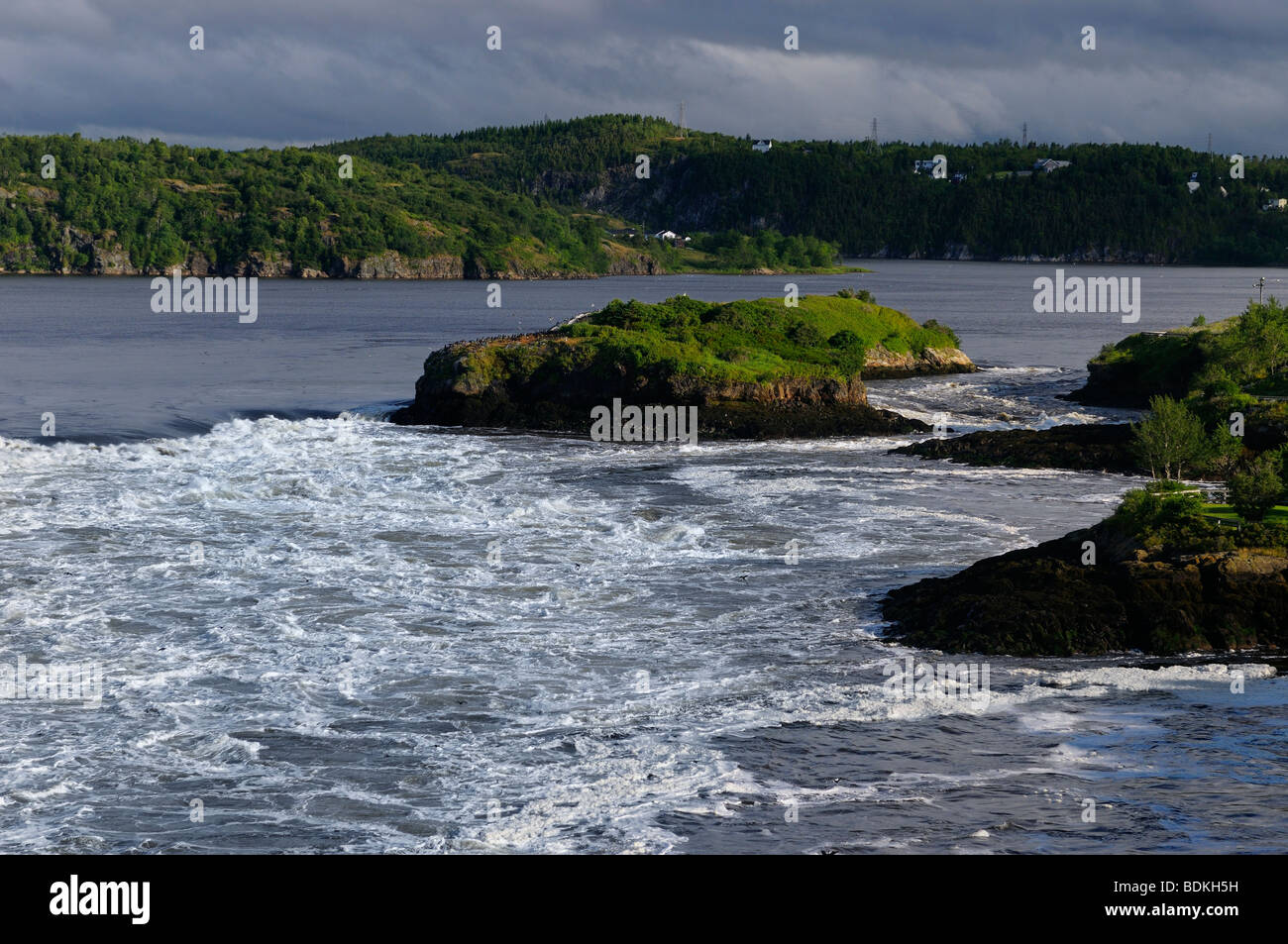 Reversing Falls at dawn in Saint John New Brunswick at Bay of Fundy low tide Stock Photo