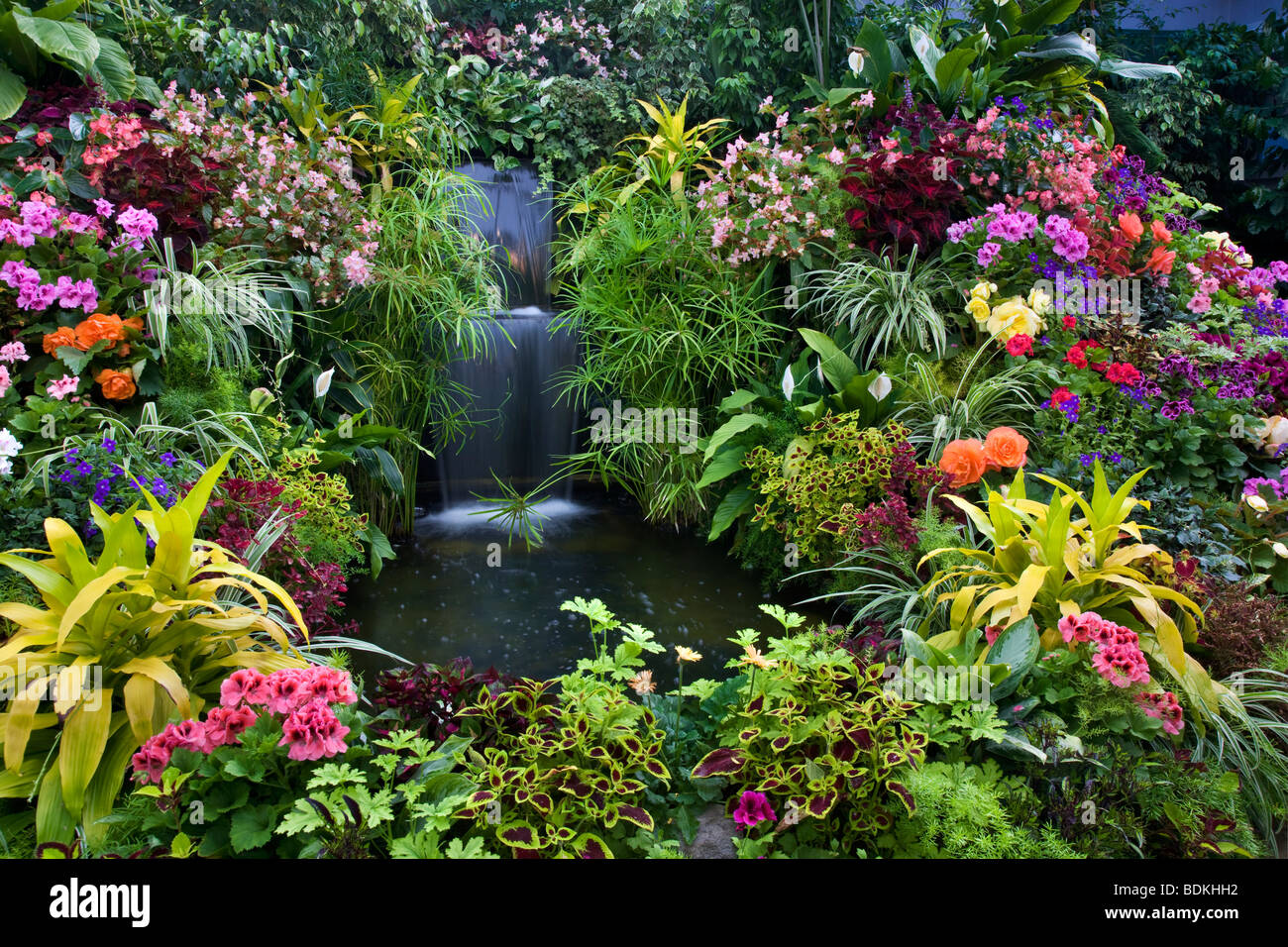 the-show-greenhouse-at-the-butchart-gardens-victoria-vancouver-island-BDKHH2.jpg