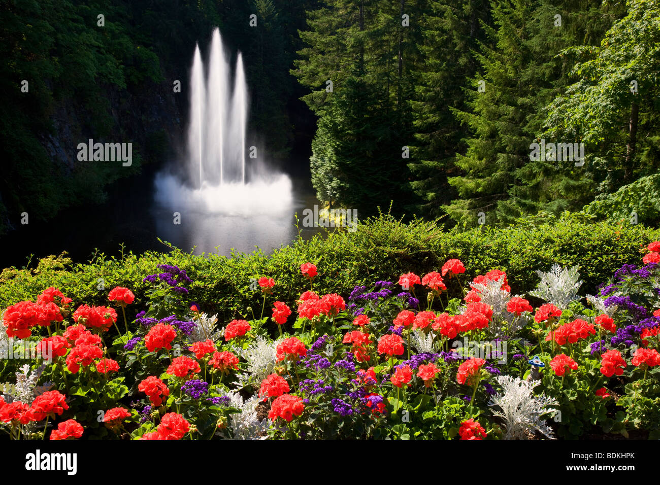 ross fountain at the butchart gardens victoria vancouver island british BDKHPK