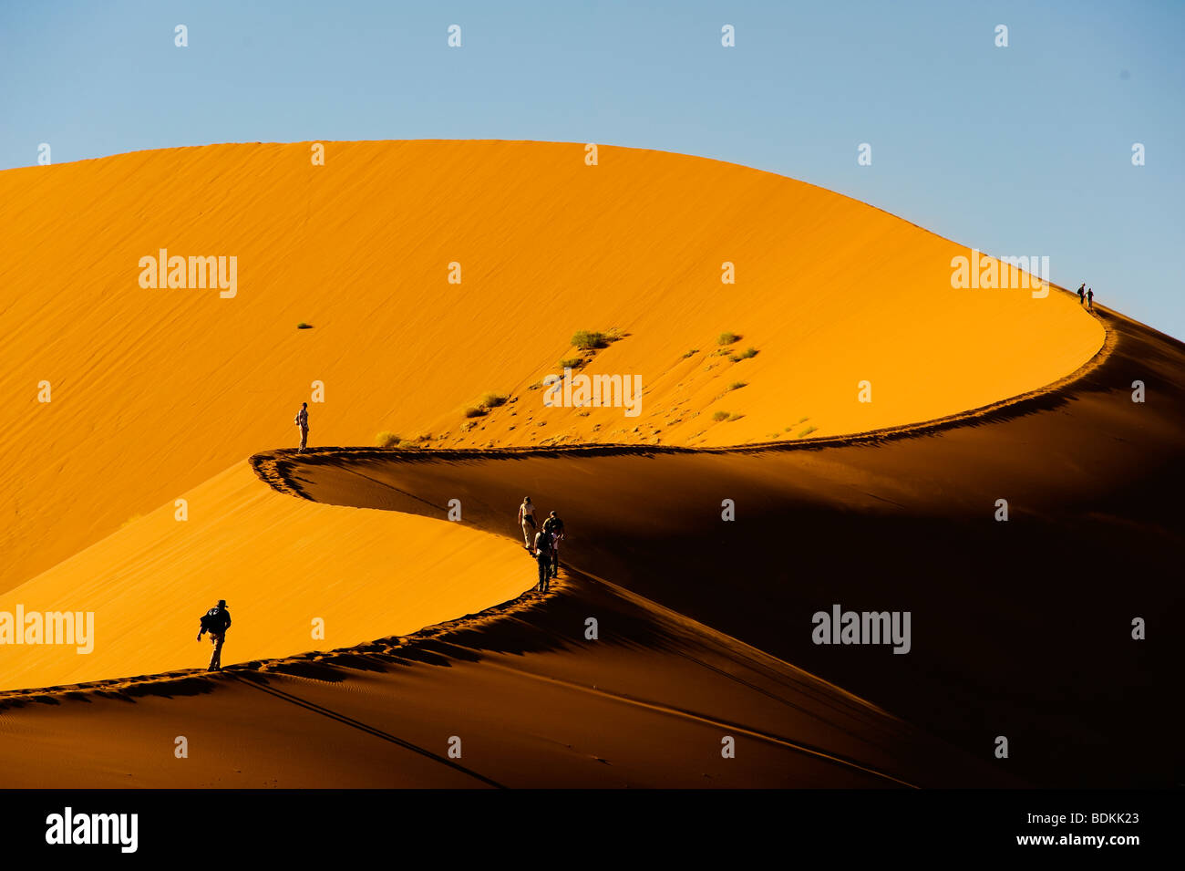 Sossusvlei dune is one of the biggest dune in the world, Namib Naukluft