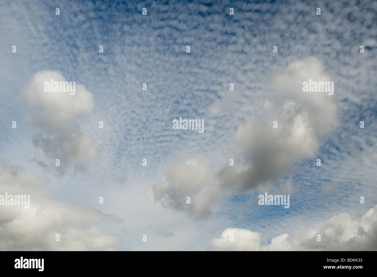 Altocumulus undulatus clouds Stock Photo