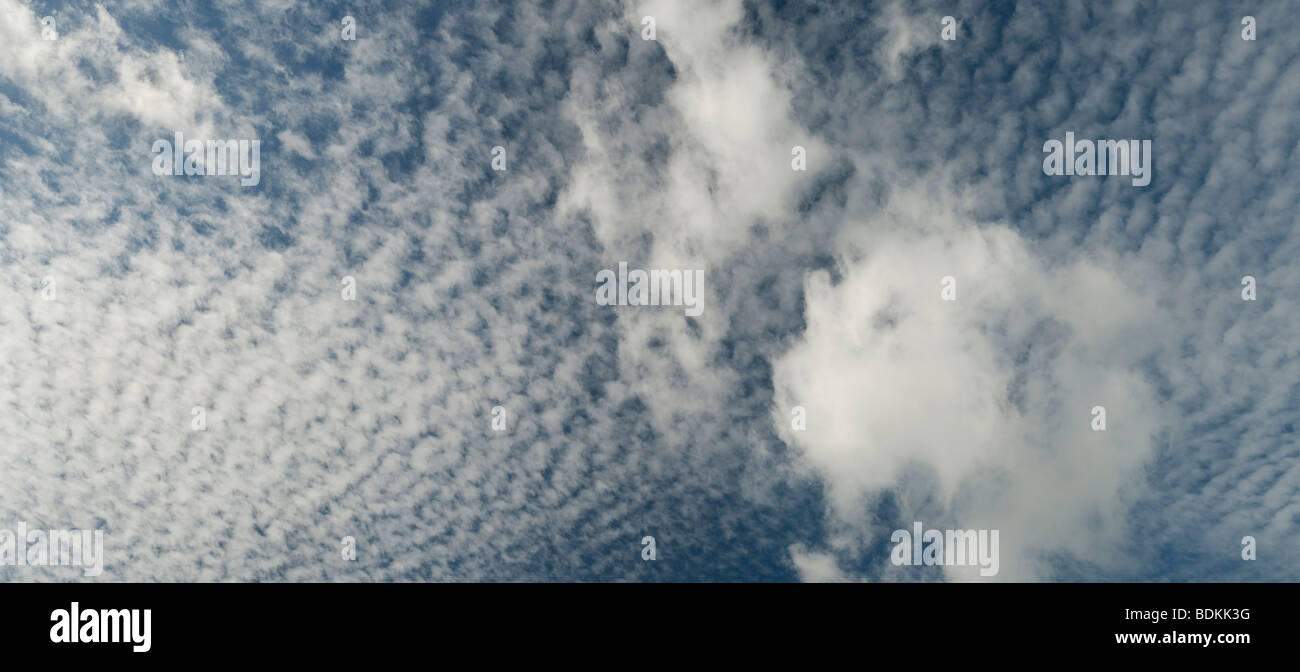 Altocumulus undulatus clouds Stock Photo