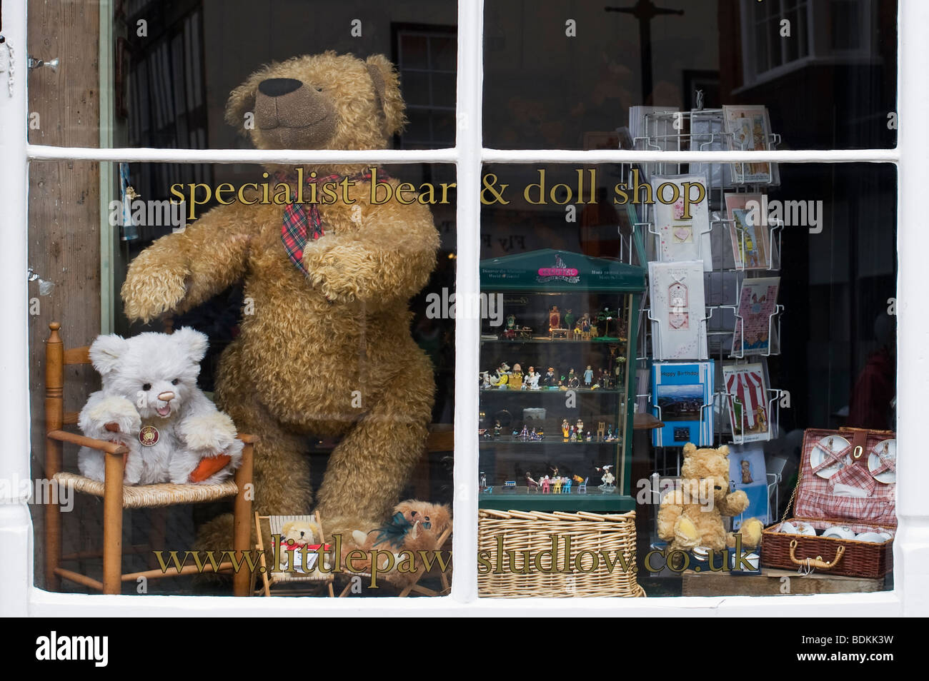 Teddy bear shop window, Ludlow, Shropshire, England Stock Photo