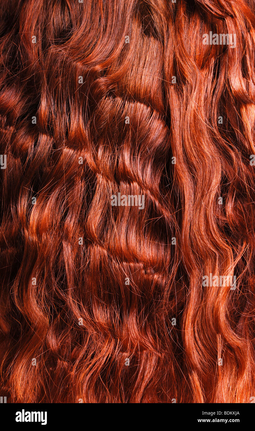 Long curly tress of henna hair Stock Photo - Alamy Long curly tress of henna hair Stock Photo - Alamy