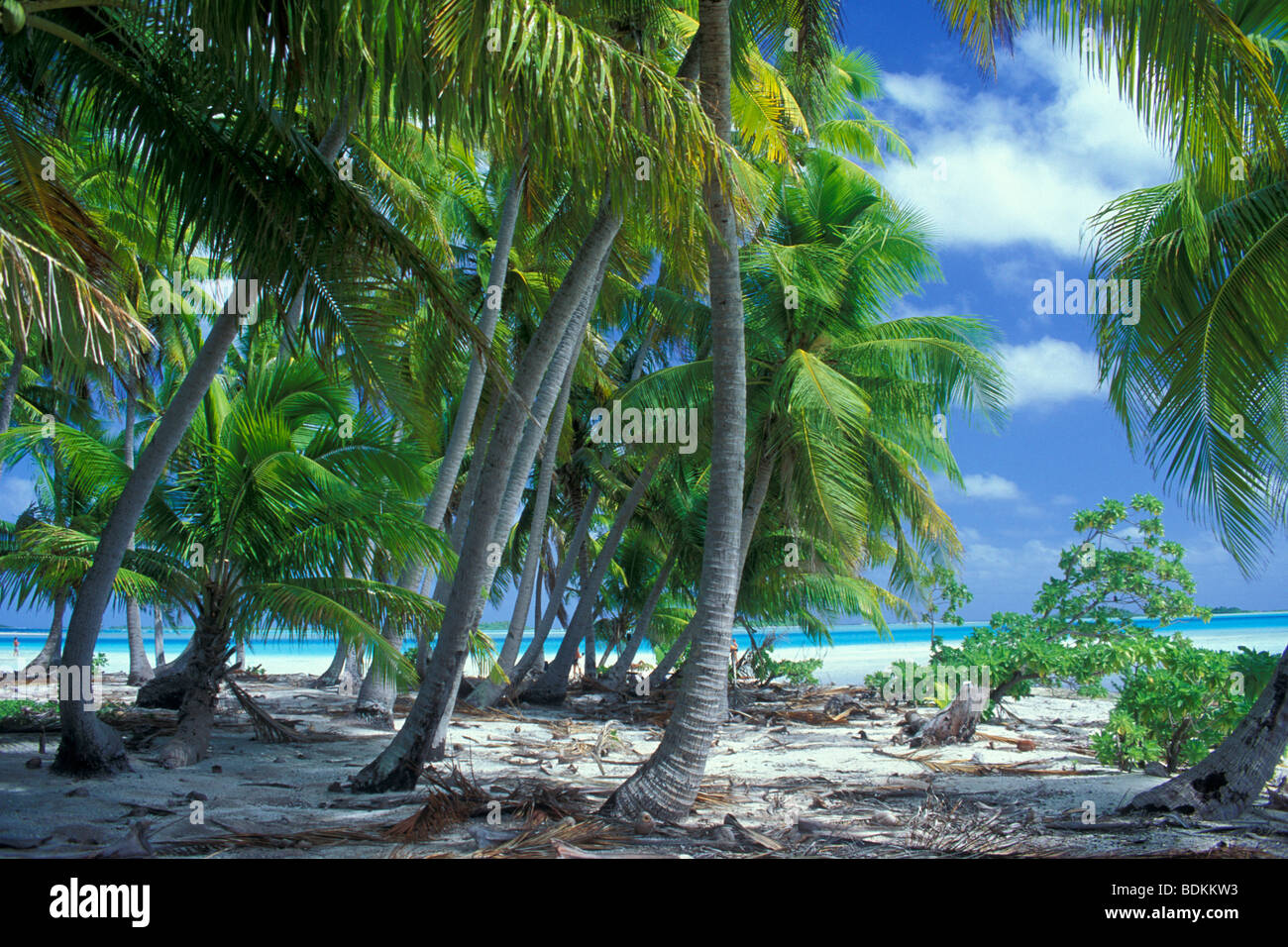 French Polynesia, Oceania Stock Photo - Alamy