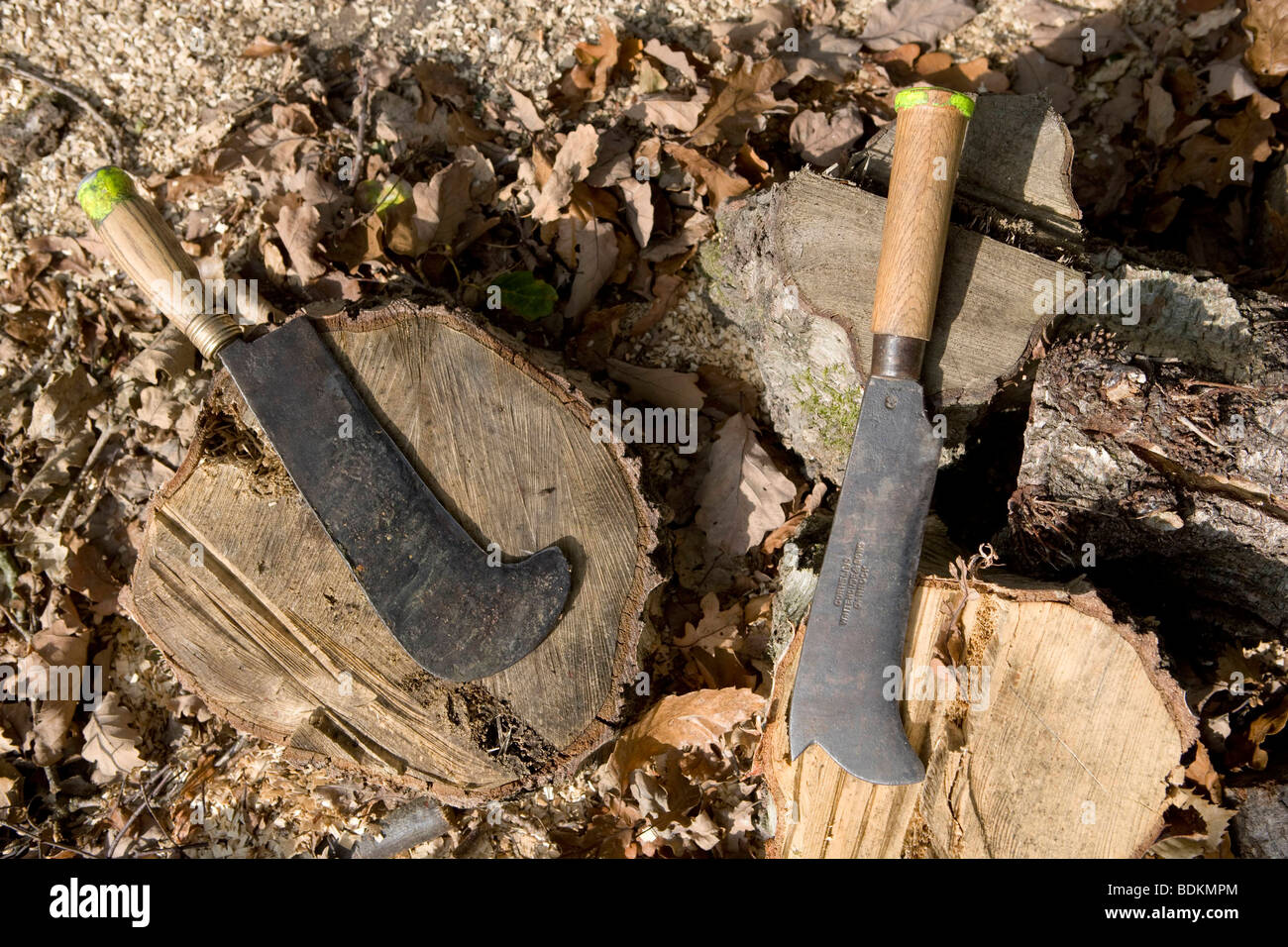Billhook. Mike and Tracey Peplers ancient woodland Rye, East Susex. Stock Photo