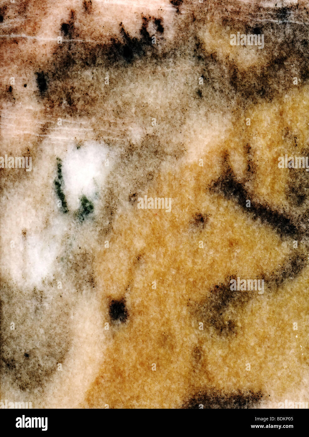 close-up showing a polished marble slab Stock Photo