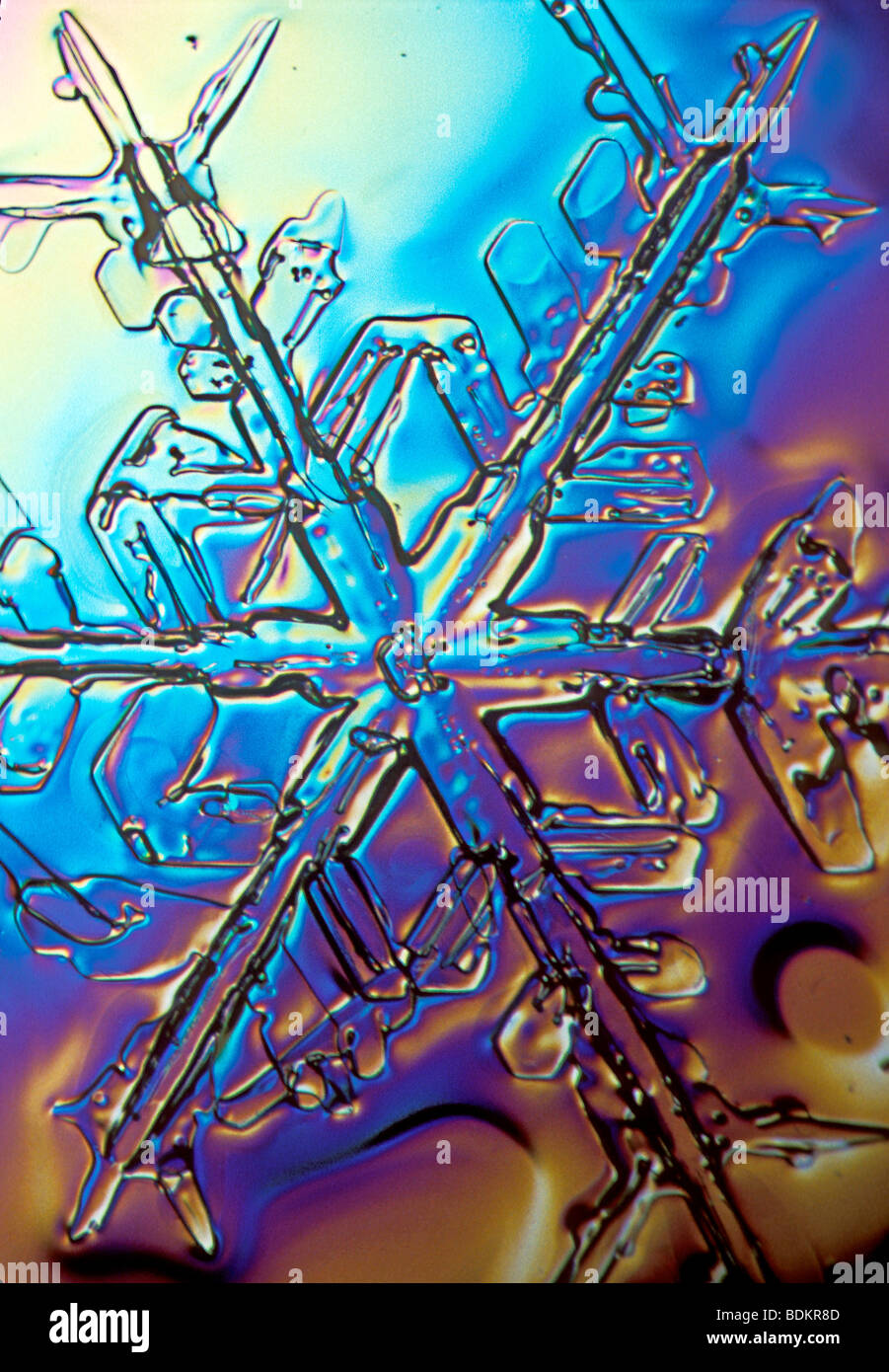 photomicrograph of a snowflake Stock Photo