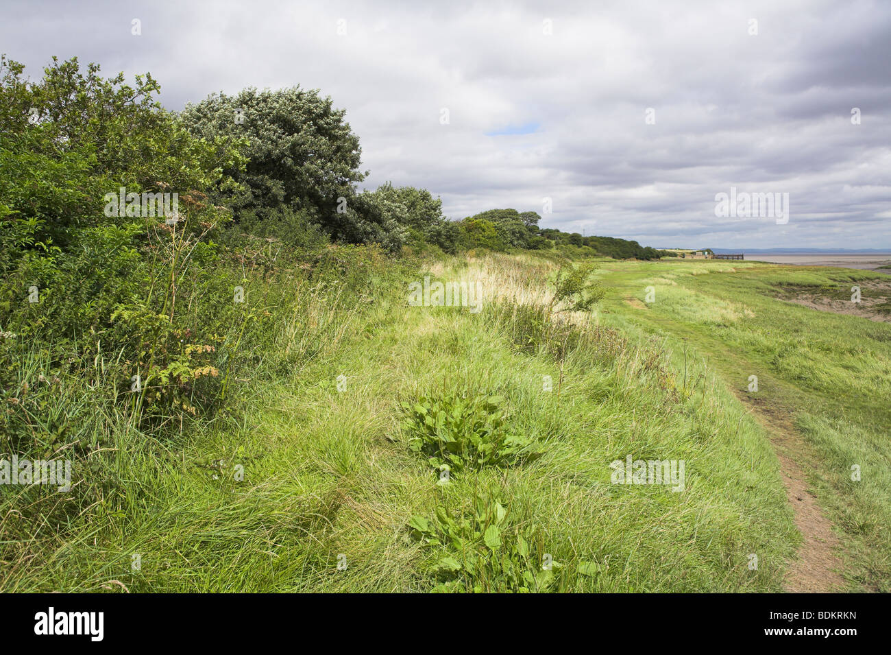 Coastal view of Severn Estuary from Woodspring Priory including grassland and muddy river bed in Somerset in August. Stock Photo