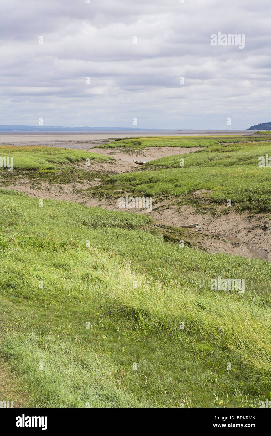 Coastal view of Severn Estuary from Woodspring Priory including grassland and muddy river bed in Somerset in August. Stock Photo
