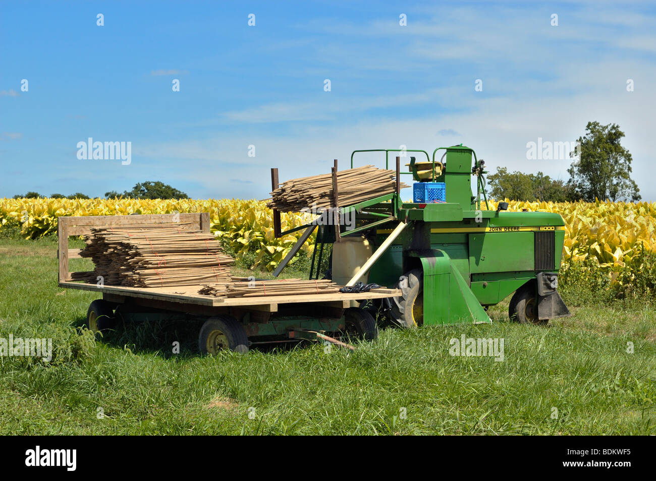 burley tobacco harvester Tobacco-harvesting machine powell tobacco harvester Can burley