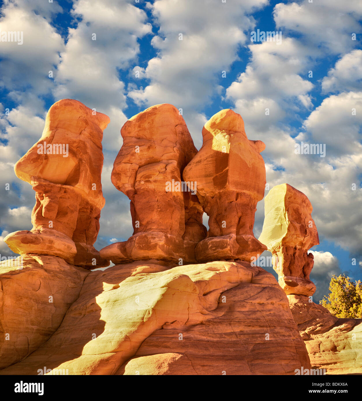 Rock Garden formation. Grand Staircase-Escalante National Monument, Utah. Stock Photo