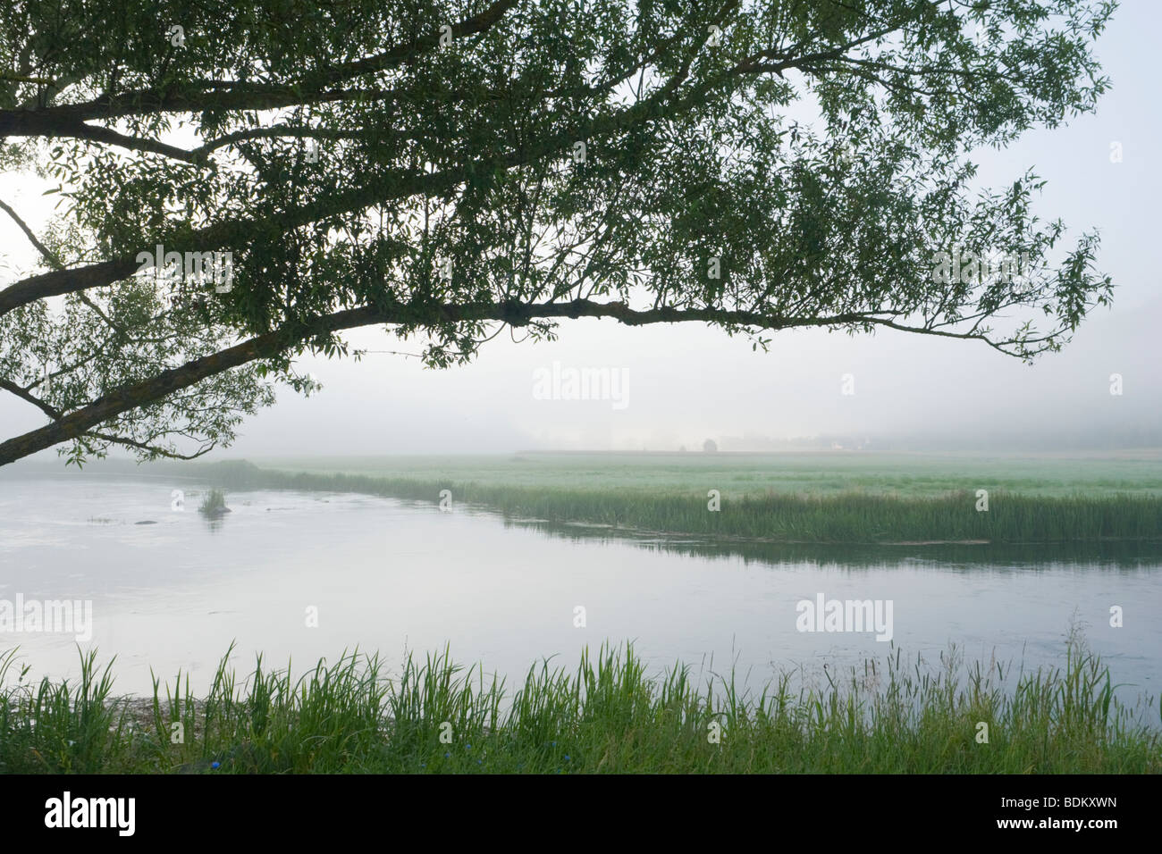 Gacka river in early morning Stock Photo