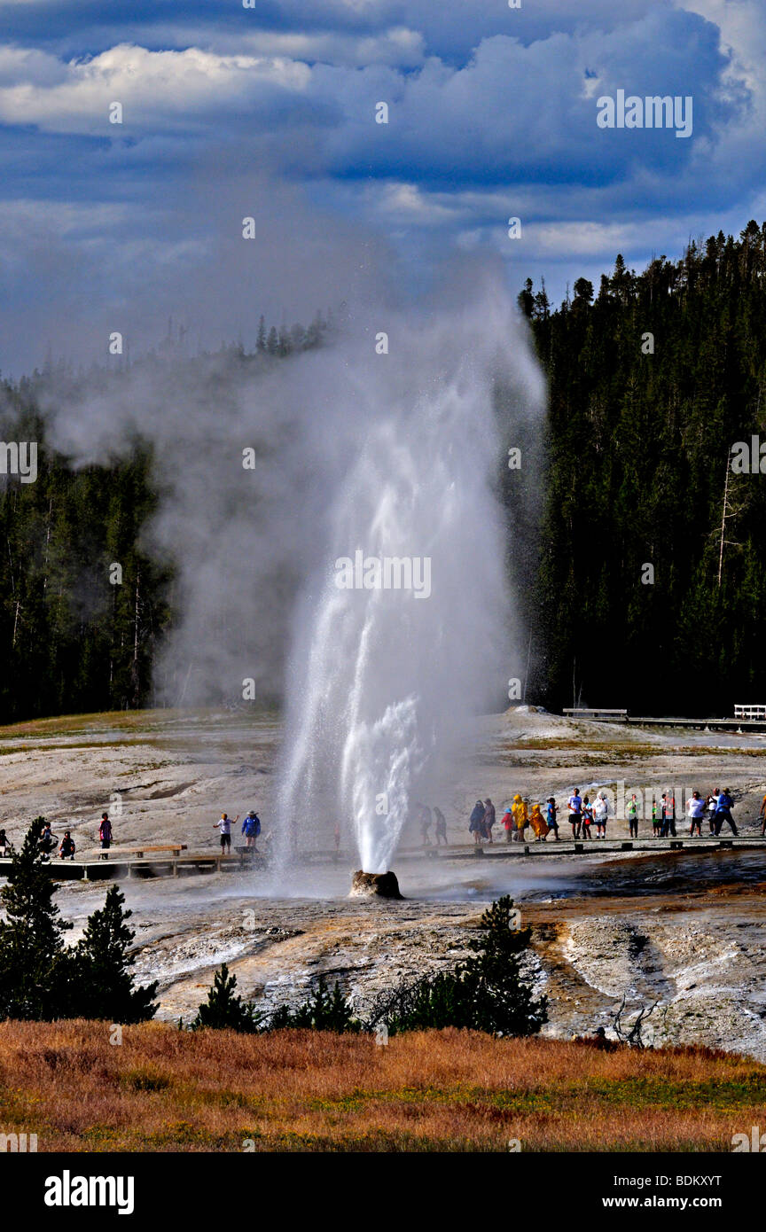 Beehive geyser blowing in yellowstone national park Stock Photo Alamy