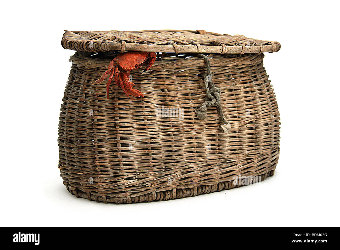 little crab trying to escape from basket Stock Photo