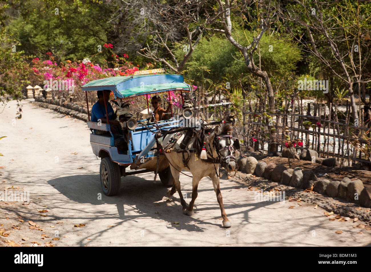 Indonesia, Lombok, Gili Trawangan, cidomo horse powered taxi on beach road Stock Photo