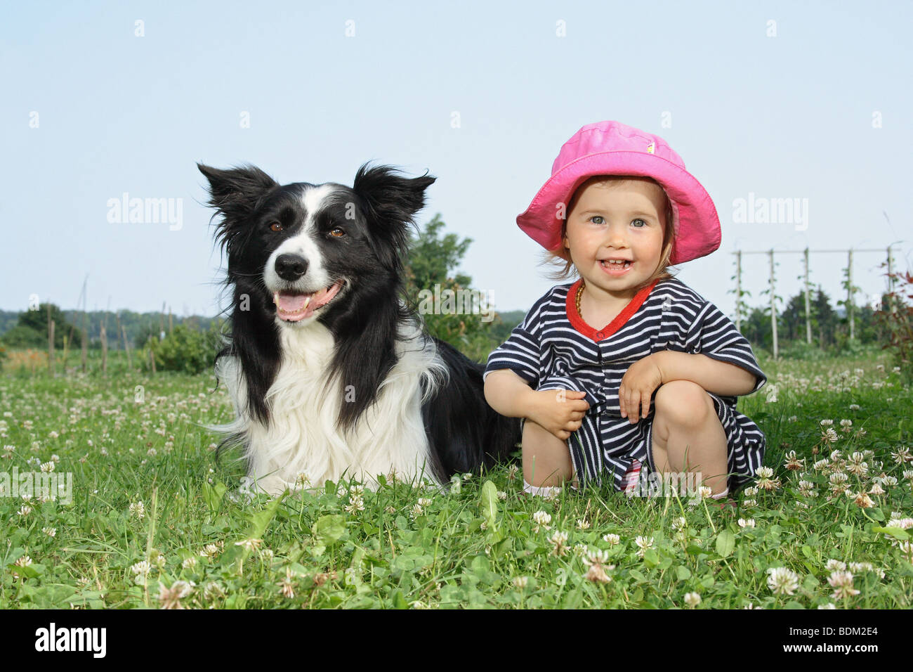 Border Collie dog - lying next to a little girl Stock Photo