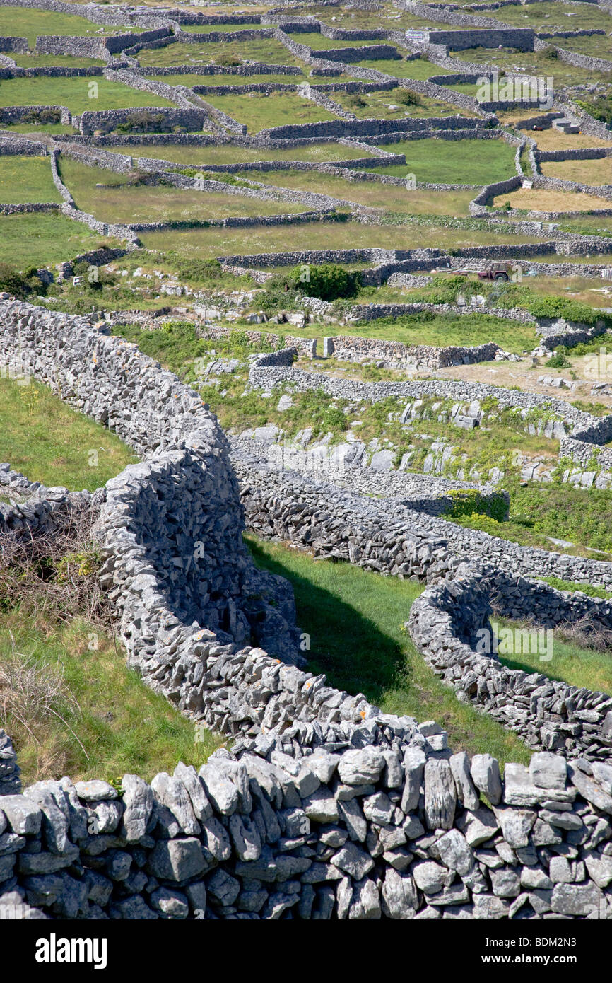 stone walls on inisheer; aran islands; ireland Stock Photo