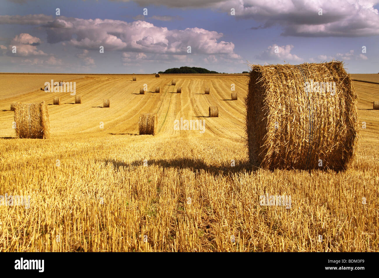 Cylindrical hay bales in field below a bright cloudy sky Stock Photo ...