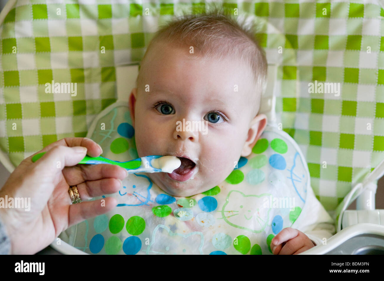 baby high chair bib