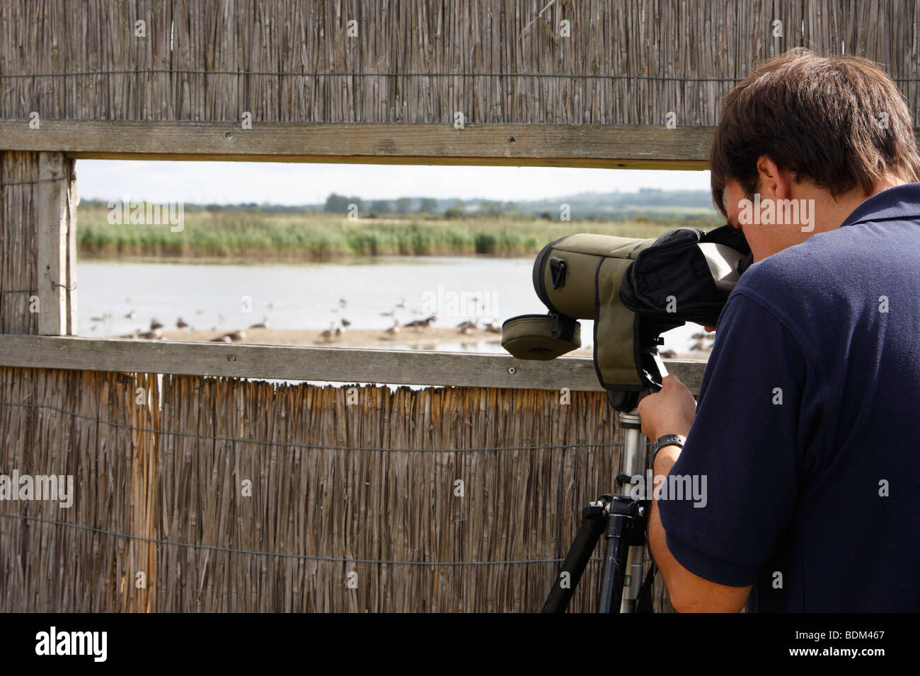 RSPB warden watching birds through telescope from 'bird hide', Otmoor Nature Reserve, Oxfordshire, England, UK Stock Photo