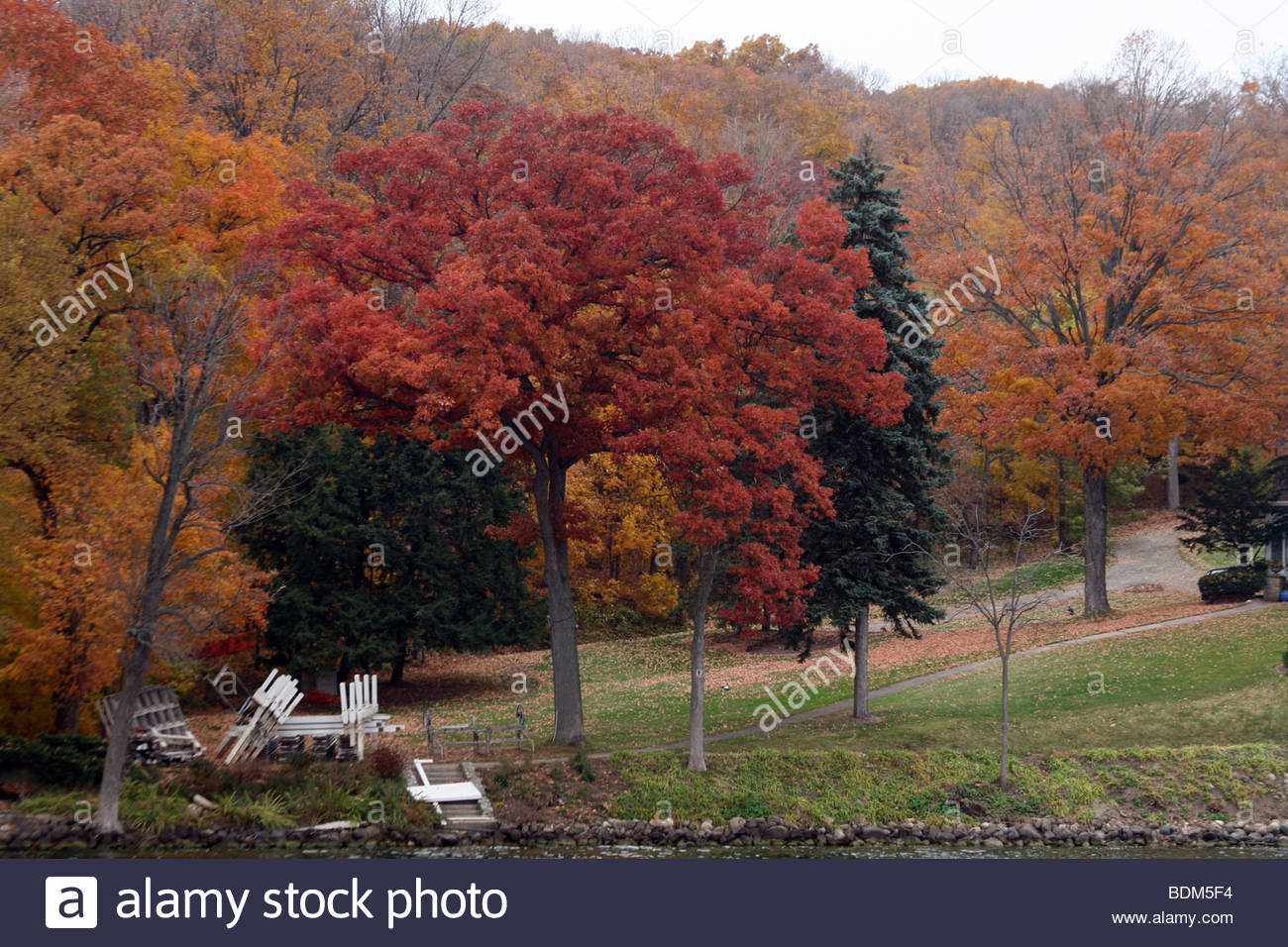 Tress Stock Photos & Tress Stock Images - Alamy