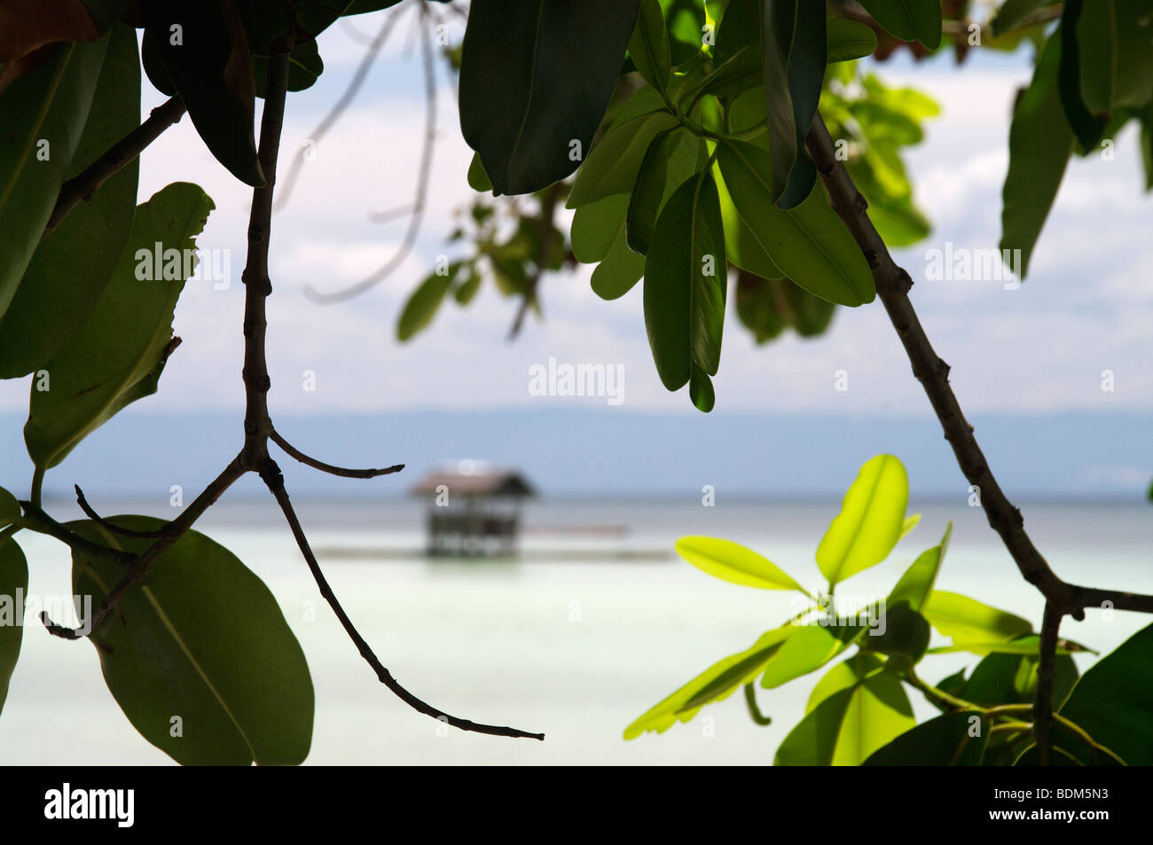 Duljo Beach bay, Panglao Island, Bohol, The Visayas. Philippines Stock ...