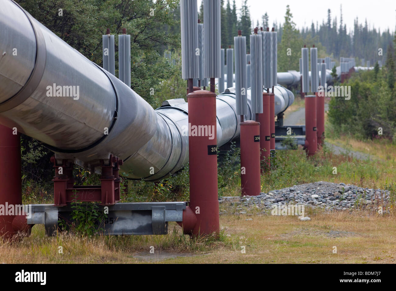 Copper Center, Alaska - The Trans-Alaska Pipeline, which carries oil 800 miles from Prudhoe Bay to Valdez. Stock Photo