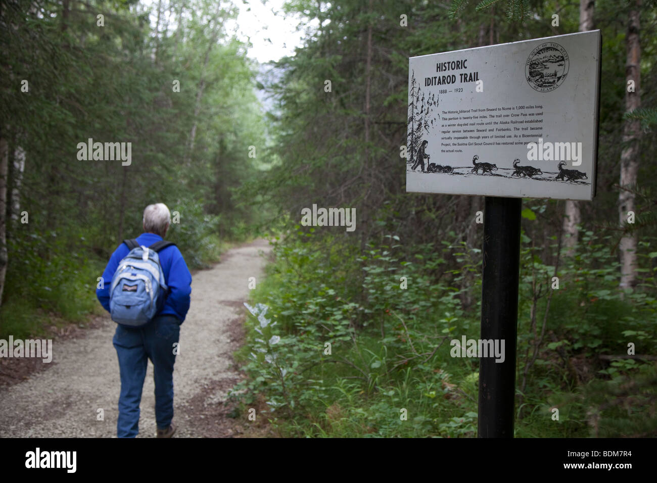 Hiker on the Iditarod Trail Stock Photo