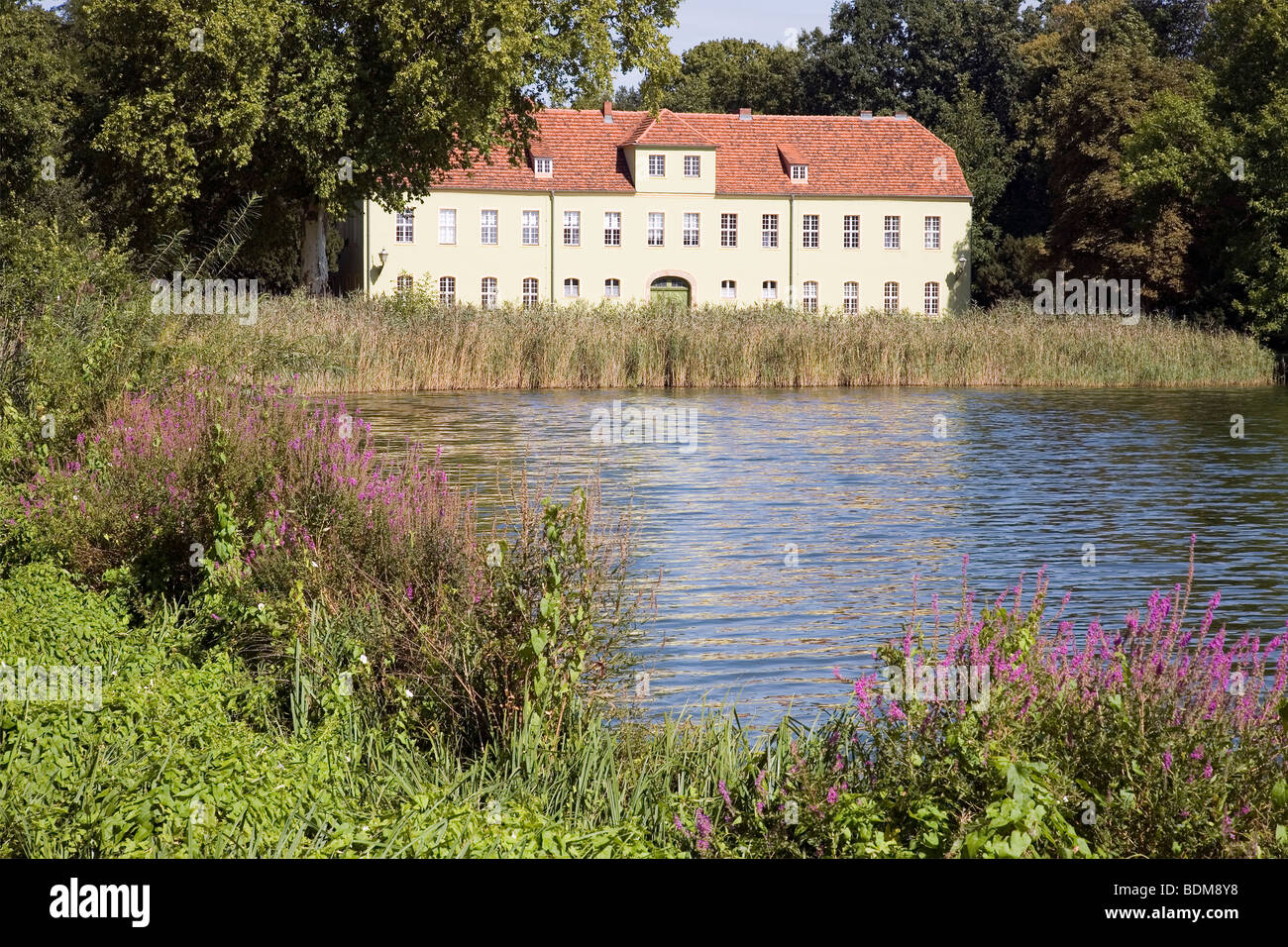 Grunes Stock Photos Grunes Stock Images Alamy