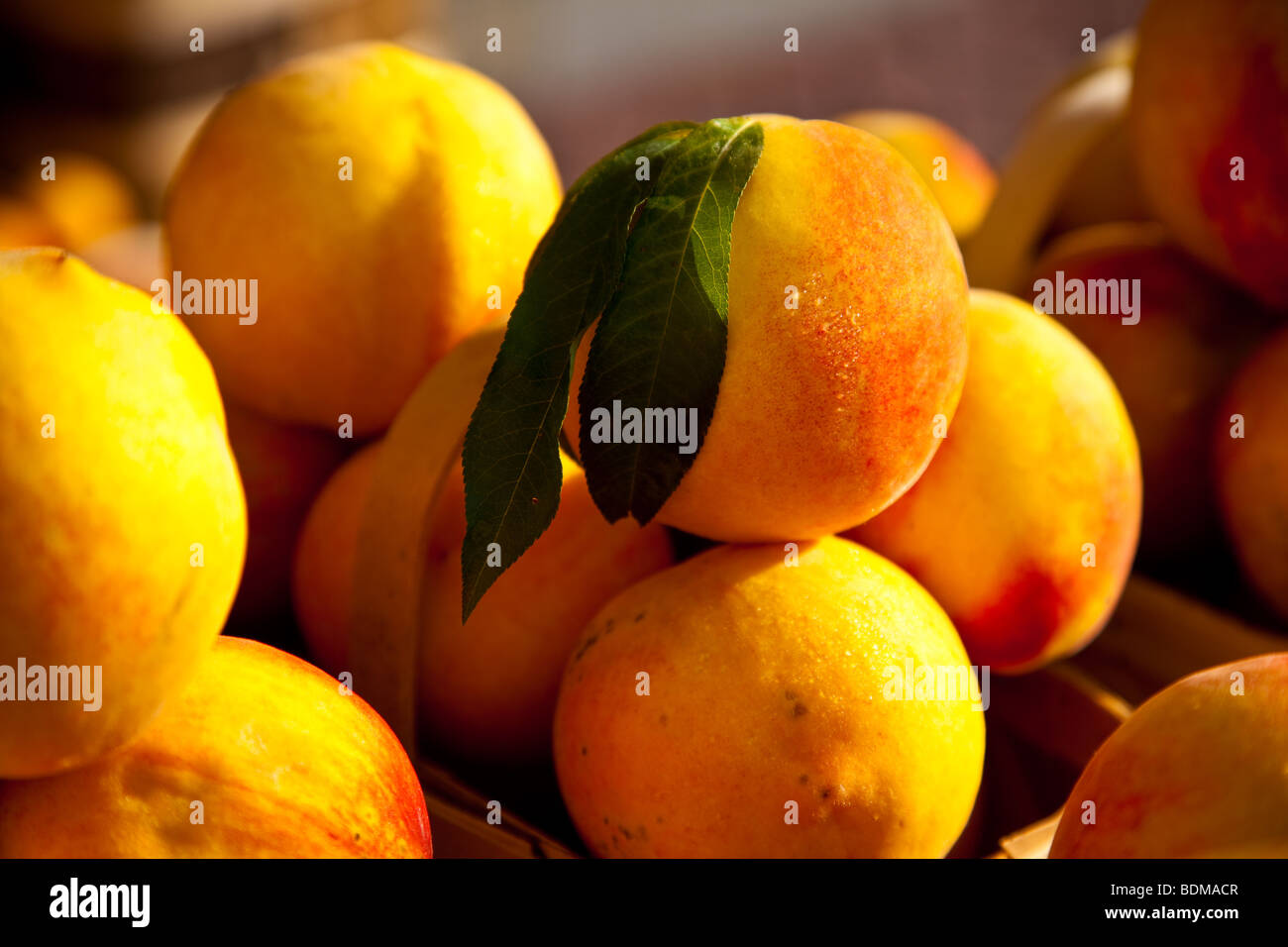 Fresh South Carolina peaches at an organic local produce farmers market