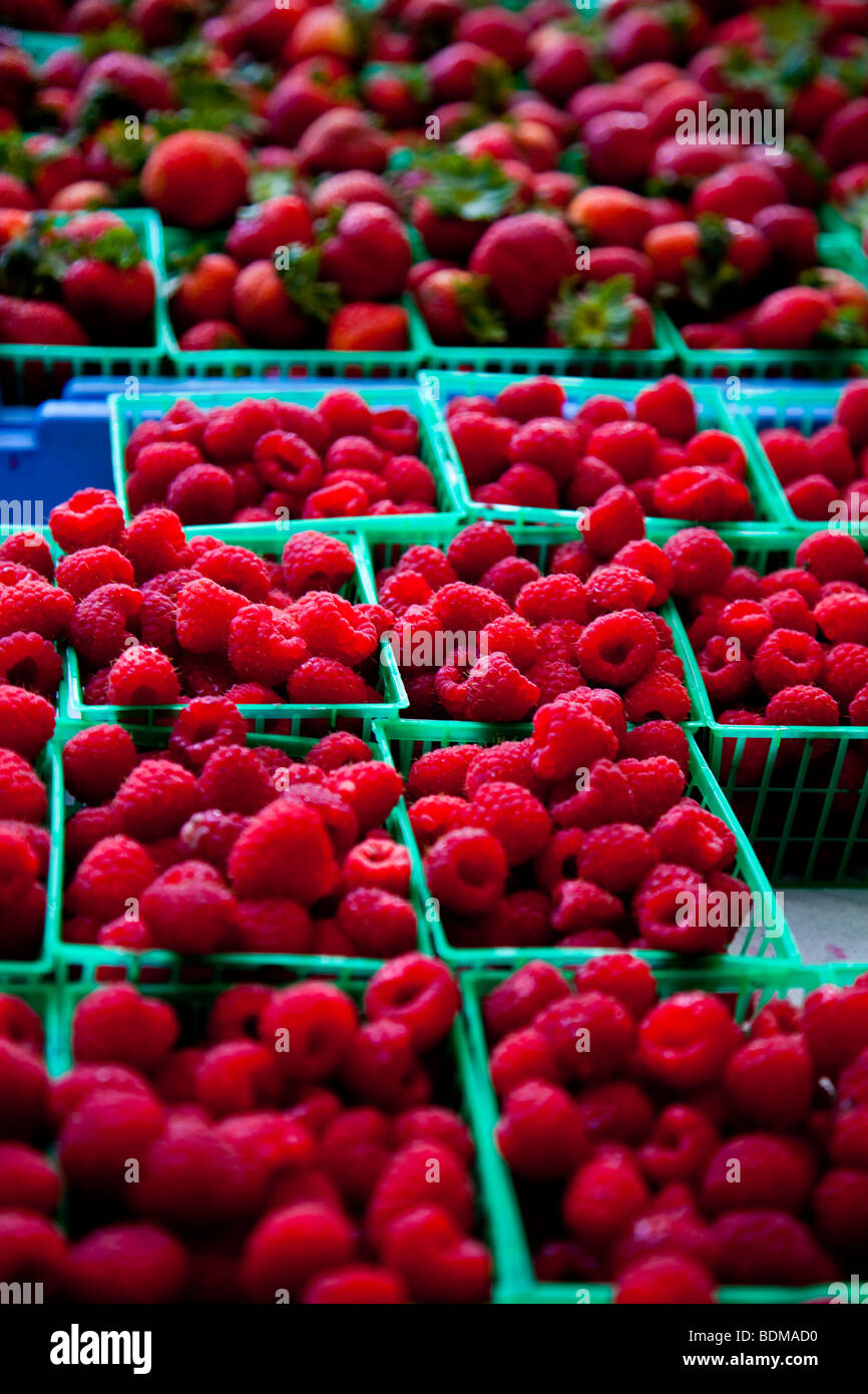 Fresh South Carolina raspberries at an organic local produce farmers