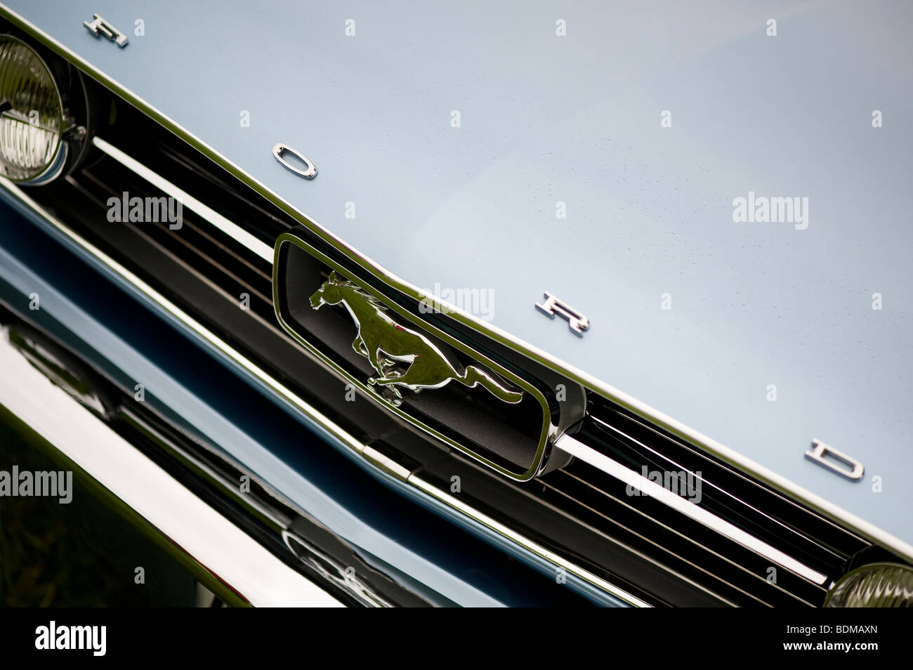 Ford Mustang logo on the radiator grill of this classic American car ...