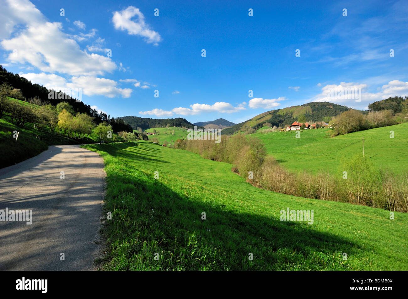 Landscape with typical farm, Fischerbach-Mitteltal, Black Forest, Baden-Wuerttemberg, Germany, Europe Stock Photo