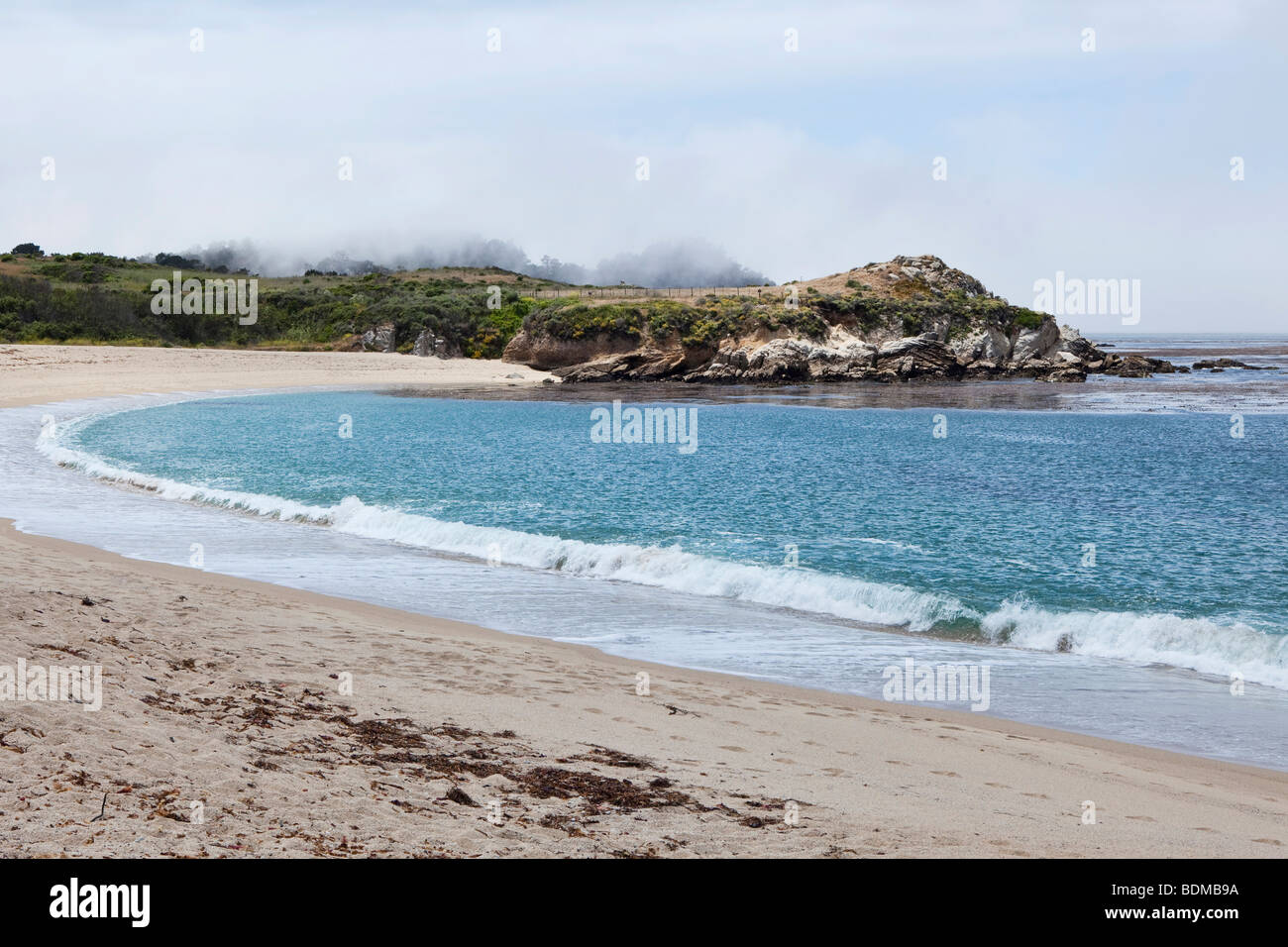 Beach in Carmel on the central California coast, USA Stock Photo
