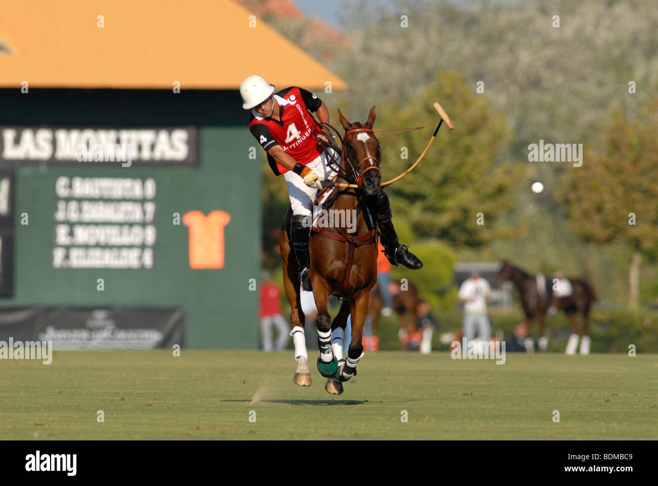 Polo player in action just after striking ball during match at Santa Maria  polo club, Sotogrande, Costa del Sol Stock Photo - Alamy