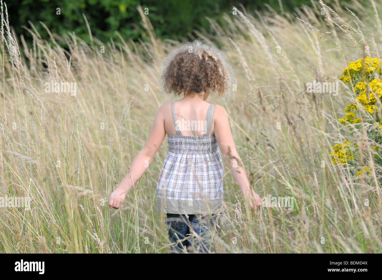 A beautiful young girl standing in a field of tall grass Stock Photo ...
