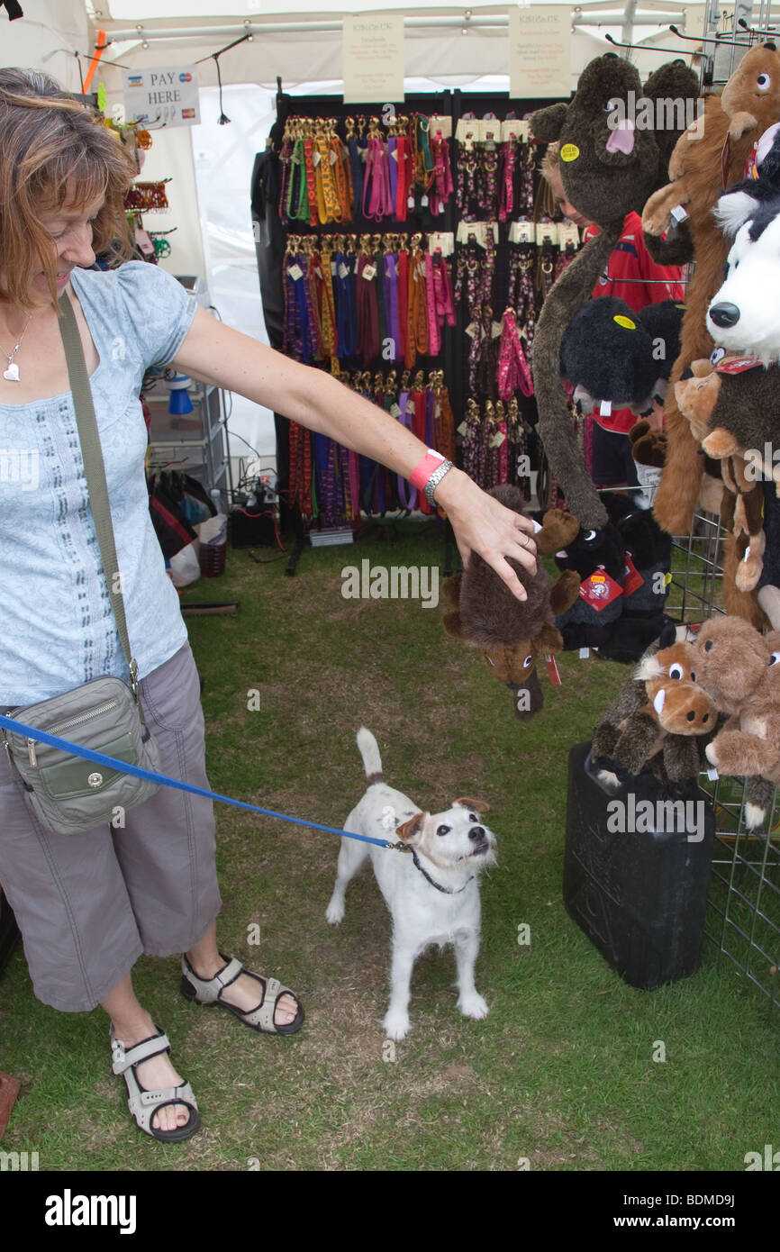 Pet Terrier in Pet Shop selecting squeeky toy Stock Photo