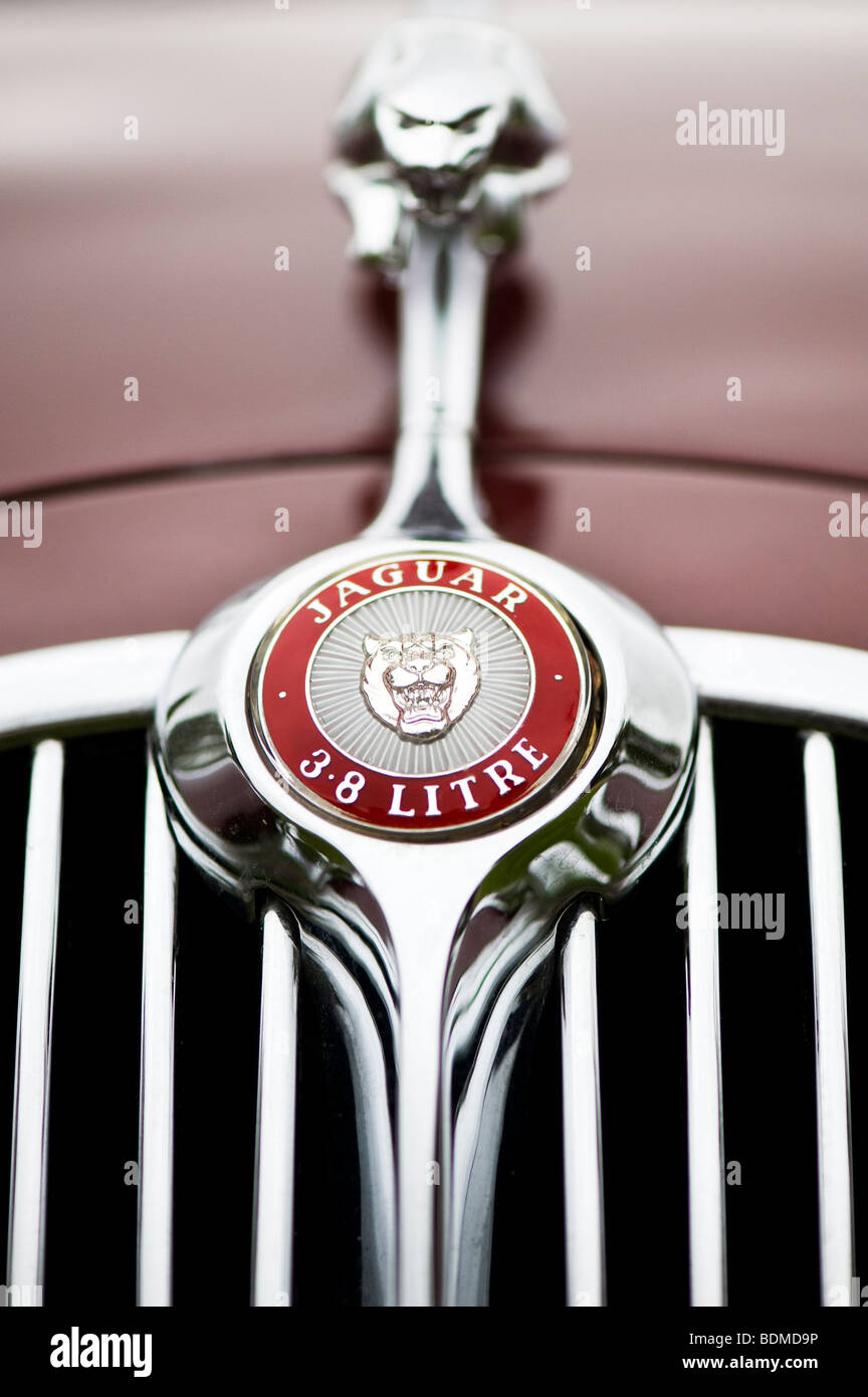 Jaguar MK11 3.8 litre saloon. Leaping jaguar mascot and logo, Classic British cars Stock Photo