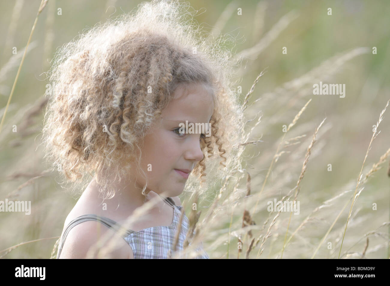 A beautiful young girl standing in a field of tall grass Stock Photo ...