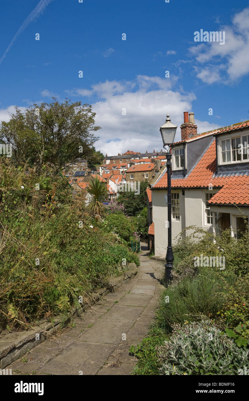 Cottages And Narrow Streets In Summer Robin Hoods Bay North