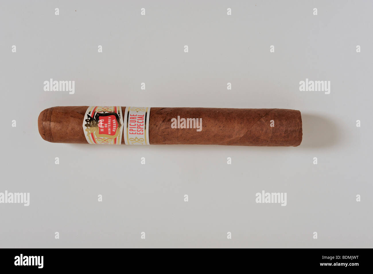 Hoyo de Monterey Epicure Especial Havana cigar. Stock Photo