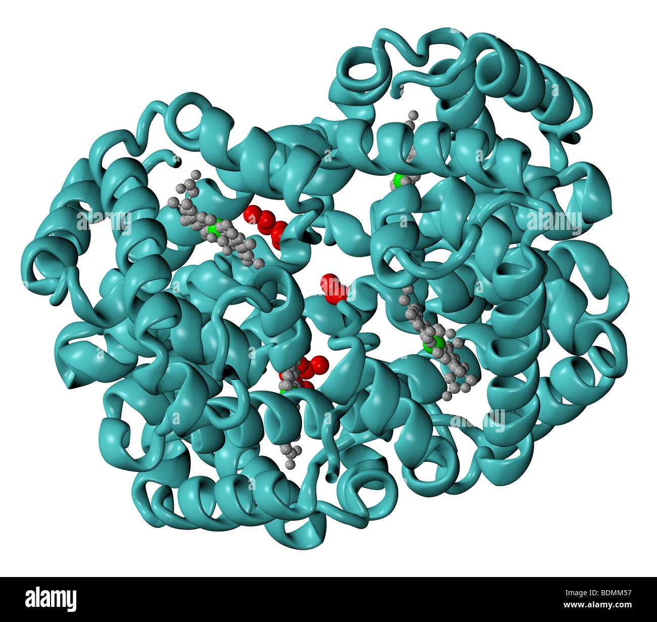 hemoglobin – 3D Molecular Designs