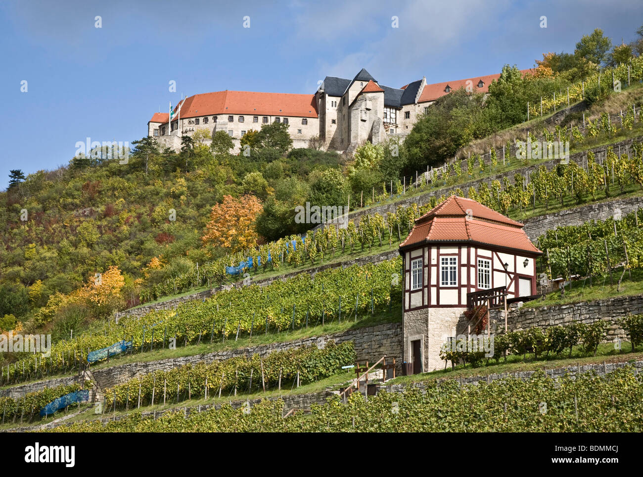Freyburg/Unstrut, Schloß Neuenburg und herzoglicher Weinberg, Herbst