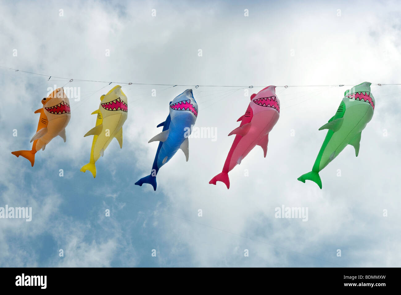Shark free hires stock photography and images Alamy