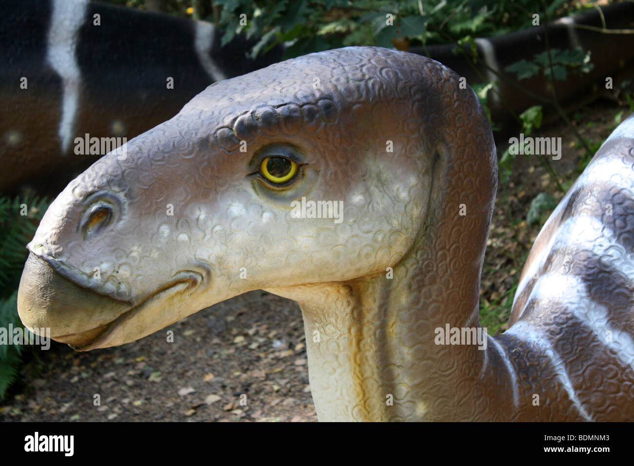 Iguanodon baby, real size model. 2009 Stock Photo