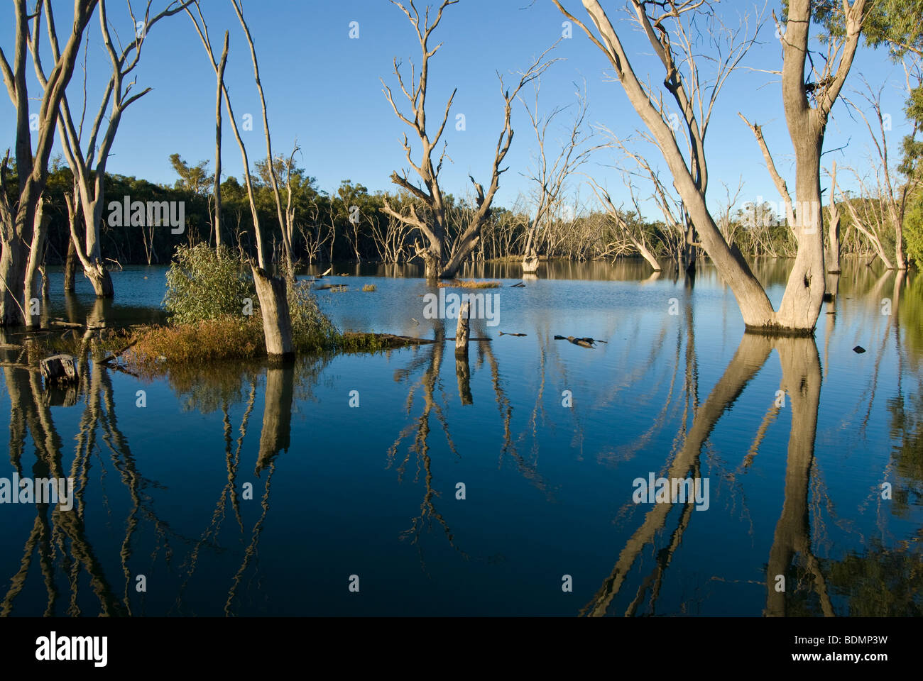 Murrimbidgee River near Hay, New South Wales, Australia Stock Photo